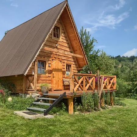 Willa Oaza Tatry I Zakopane Zewnętrze zdjęcie